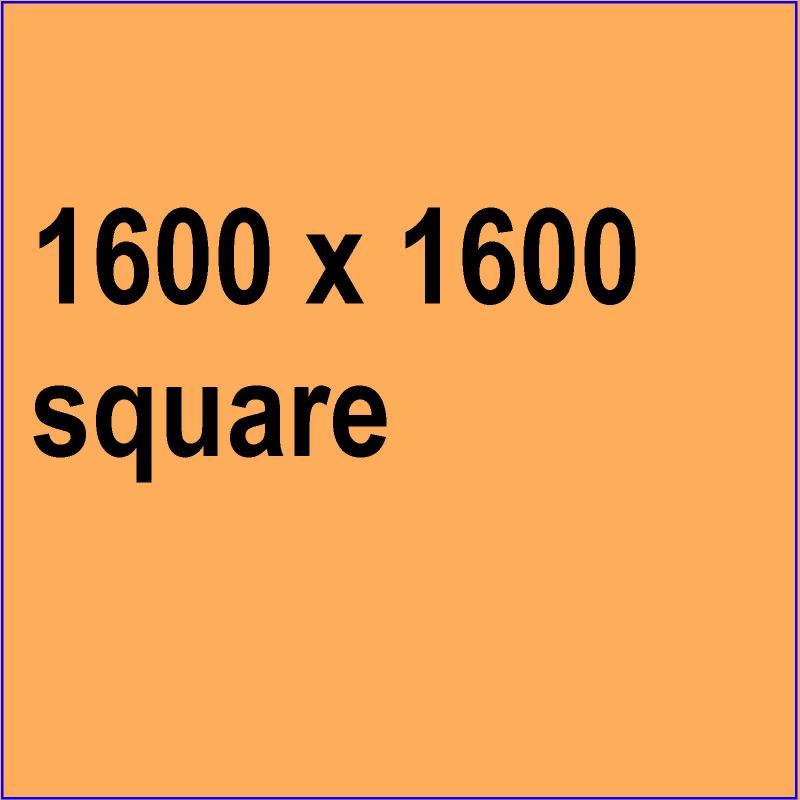Square 1600 1600